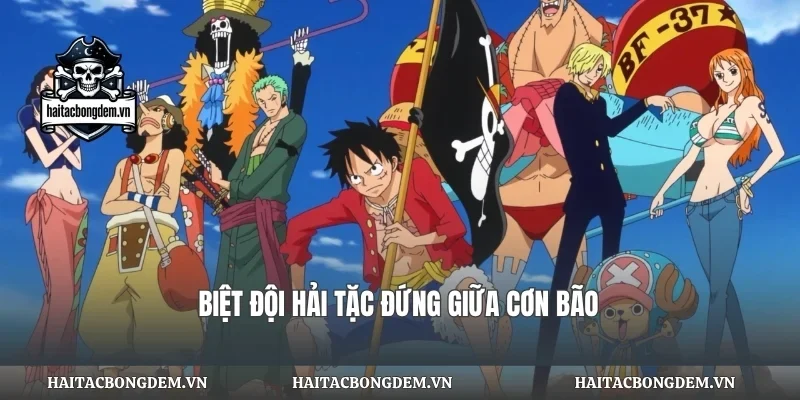 Biệt đội hải tặc đứng giữa cơn bão